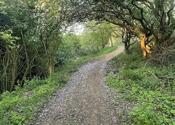 The House - Part Of The The Bay Village With Pool, Gym And Direct Access, Pub, Restaurant, Tennis And Meadows Walks * Filey